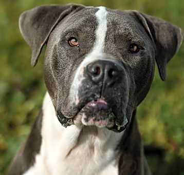 Photo of Mator