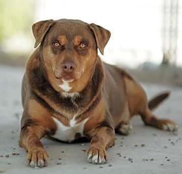 Photo of Mister