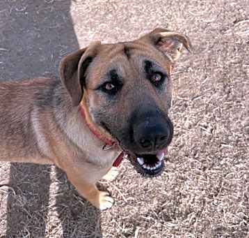 Photo of Thelma