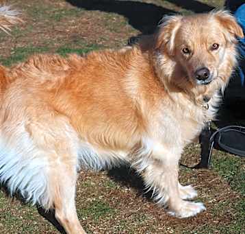 Photo of Hudson