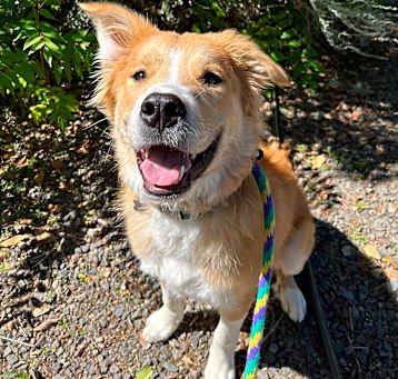 Photo of Waylon