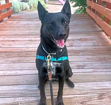 Photo of Zola