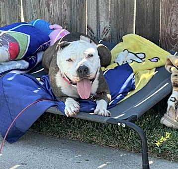 Photo of URGENT Loveable BETTY