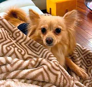 Photo of Lyla