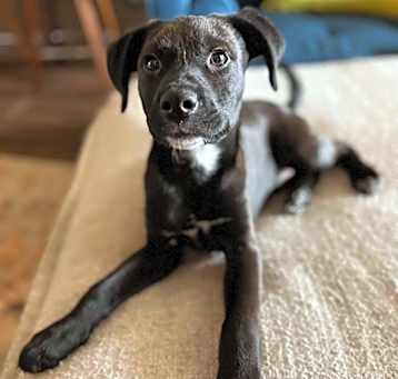Photo of Lenny