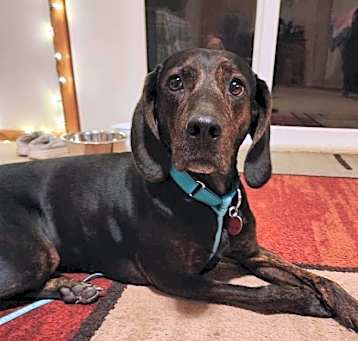Photo of Turbo