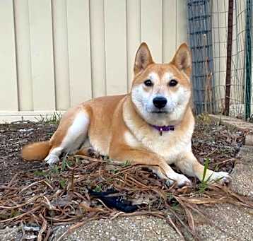 Photo of Tohru