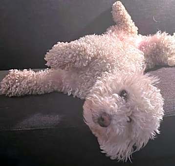 Photo of Billy