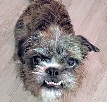 Photo of Laverne AKA Lisa