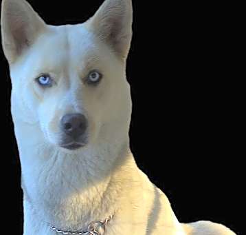 Photo of Holly