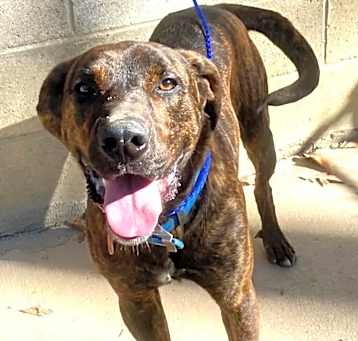 Photo of Tucker
