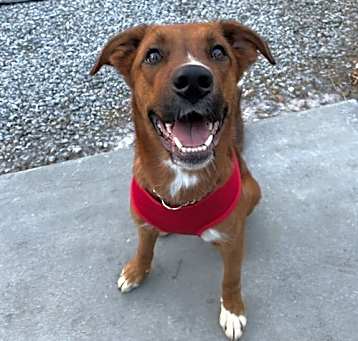 Photo of Cassidy