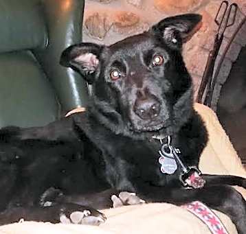 Photo of Gunther