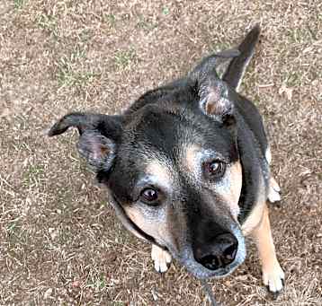 Photo of Molly