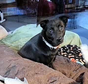 Photo of WIGGLES
