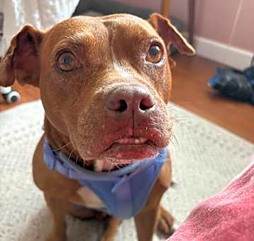 Photo of Ethel
