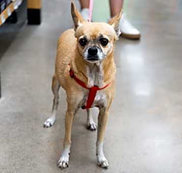 Photo of Lola