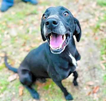 Photo of Turbo