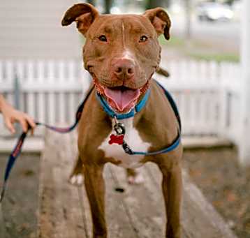 Photo of Fiona