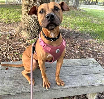 Photo of SAVANNAH