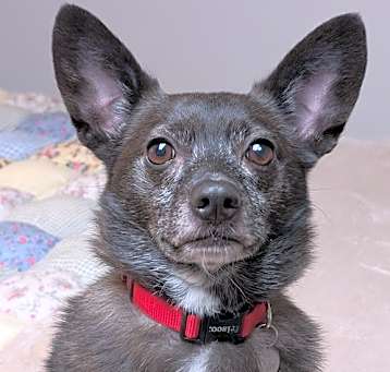Photo of Jake