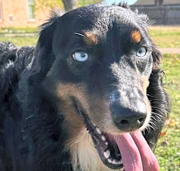 Photo of Kilo