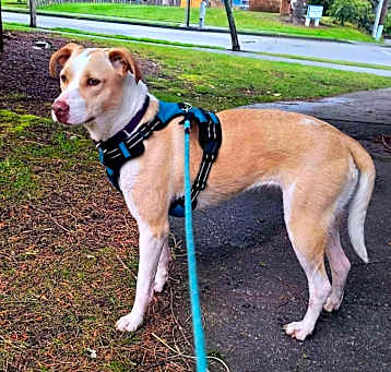 Photo of Lucy