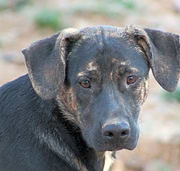Photo of Liesel