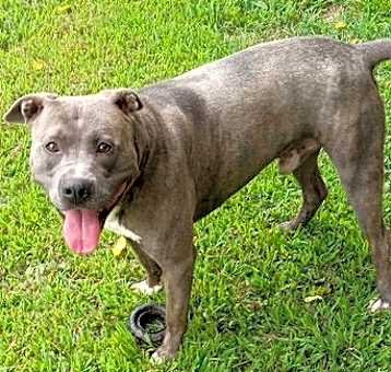 Photo of Remington