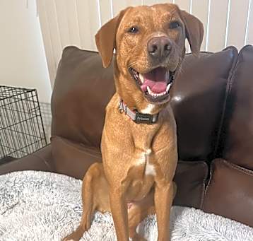 Photo of Daisy