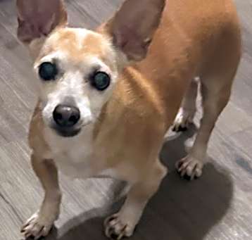 Photo of Gus