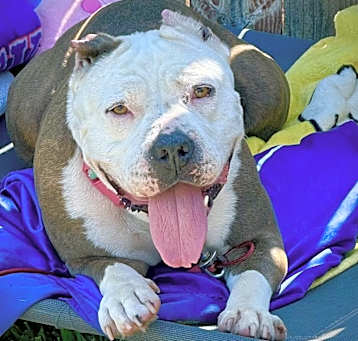 Photo of Adorable Betty