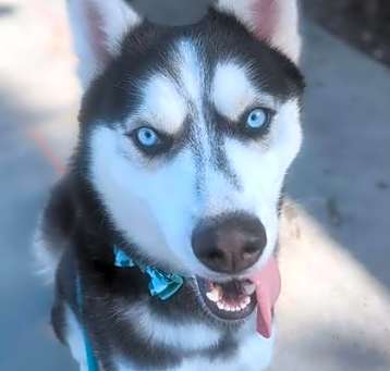 Photo of ARTHUR