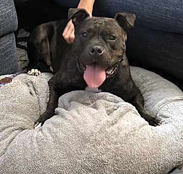 Photo of Emmitt