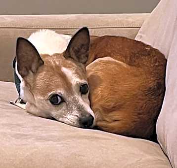 Photo of Jake