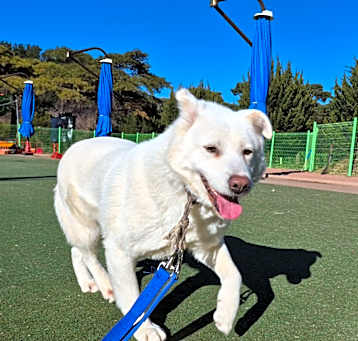 Photo of Yeoreum