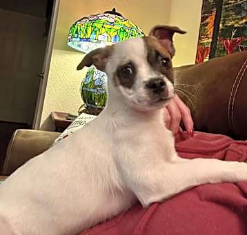 Photo of Gunther