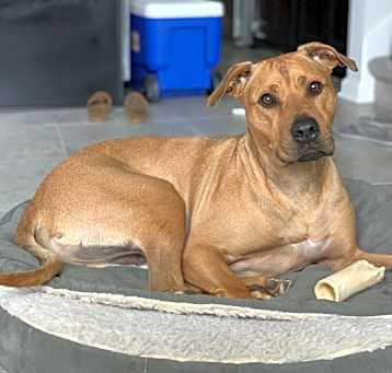 Photo of Tyson