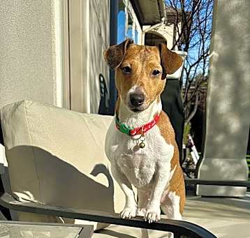 Photo of Akira