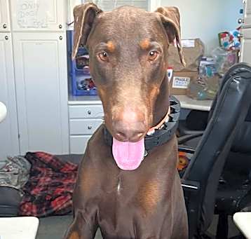 Photo of Jack 3265