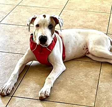 Photo of Sparkler