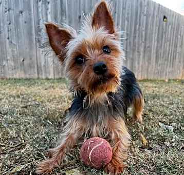Photo of Frankie