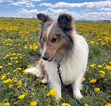 Photo of Gus