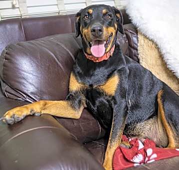 Photo of Jolene