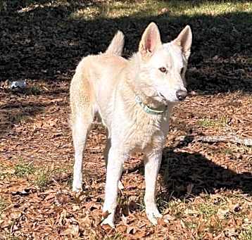 Photo of Chester