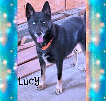 Photo of Lucy