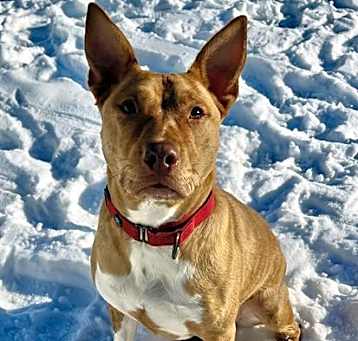 Photo of ESTRELLA
