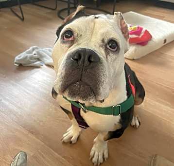 Photo of Francine