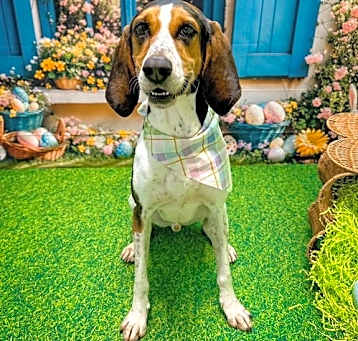 Photo of Snoop
