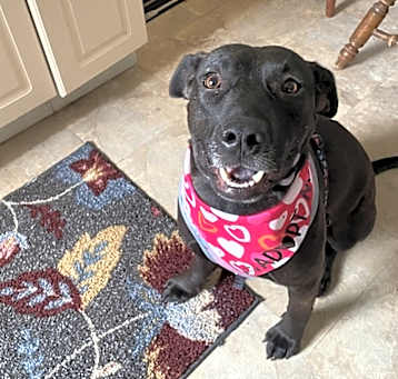 Photo of Merry